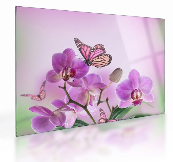 Obraz na szkle - Motyl na kwiatach orchidei, liliowy (70x50 cm)