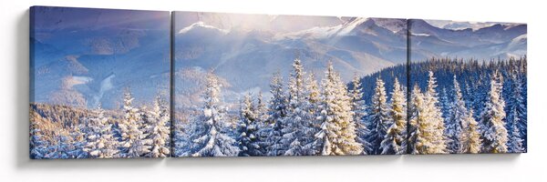 Obraz - Krajobraz górski zimą (170x50 cm)