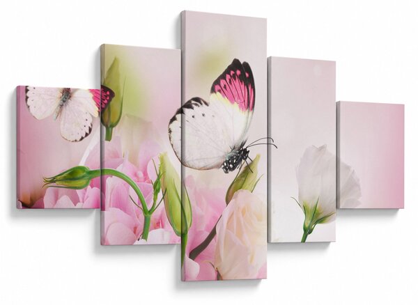 Obraz - Motyl (125x70 cm)