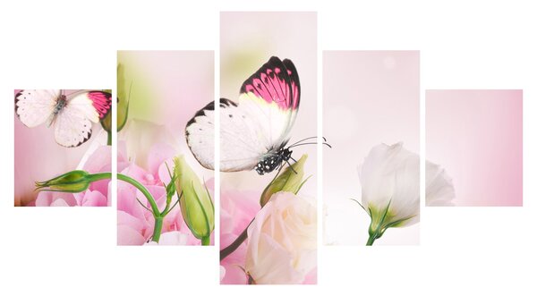 Obraz - Motyl (125x70 cm)