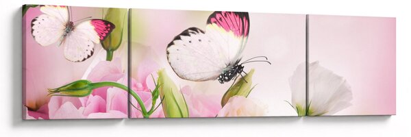 Obraz - Motyl (170x50 cm)
