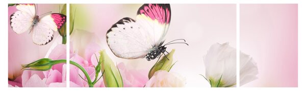Obraz - Motyl (170x50 cm)