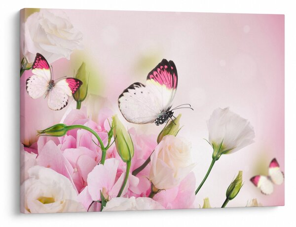 Obraz - Motyl (70x50 cm)