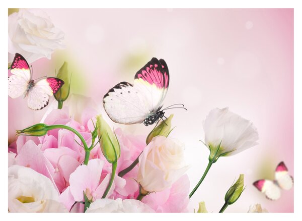 Obraz - Motyl (70x50 cm)