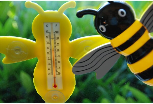 Termometr zewnętrzny Bee – Esschert Design