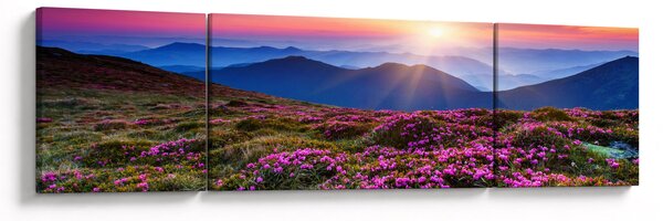 Obraz - Krajobraz kwitnących gór (170x50 cm)