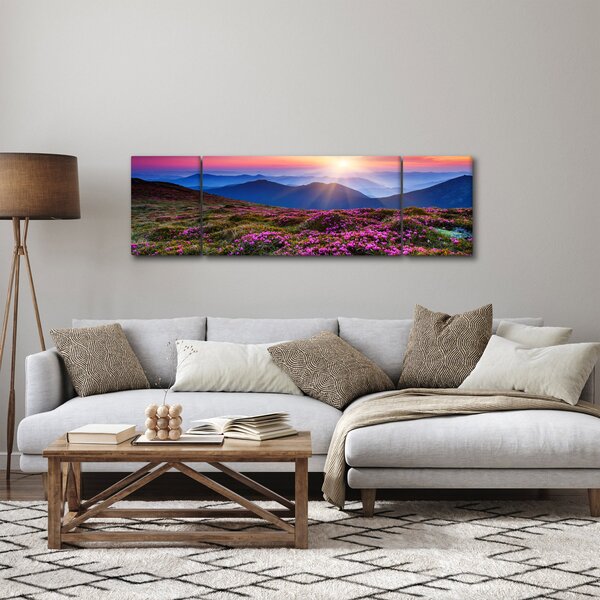 Obraz - Krajobraz kwitnących gór (170x50 cm)