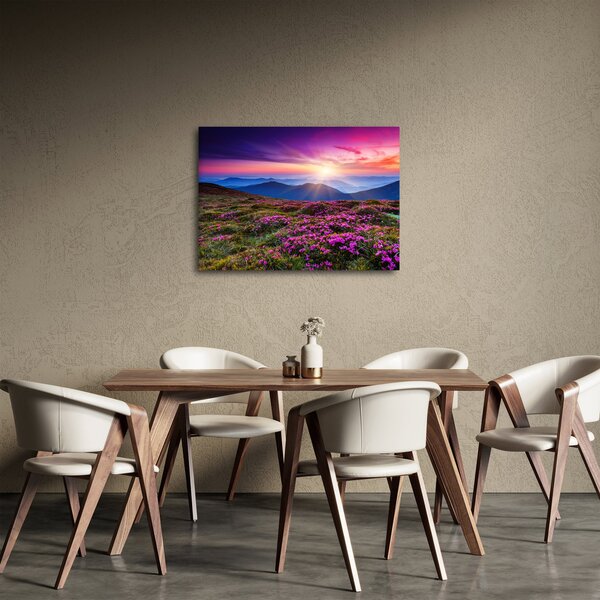 Obraz - Krajobraz kwitnących gór (70x50 cm)