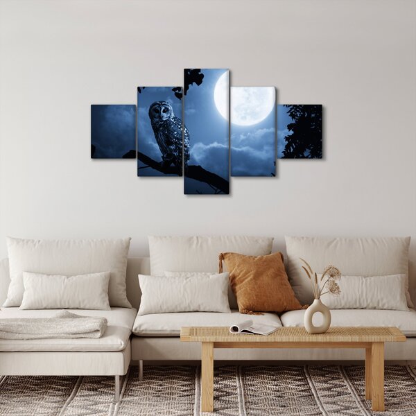 Obraz - Nocna Sowa (125x70 cm)