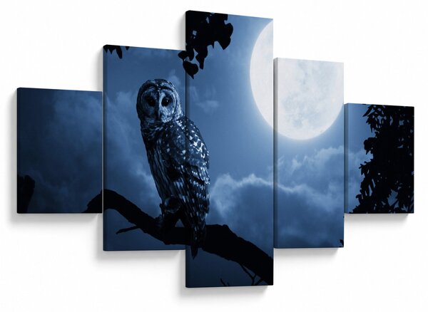 Obraz - Nocna Sowa (125x70 cm)