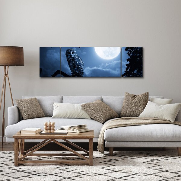 Obraz - Nocna Sowa (170x50 cm)