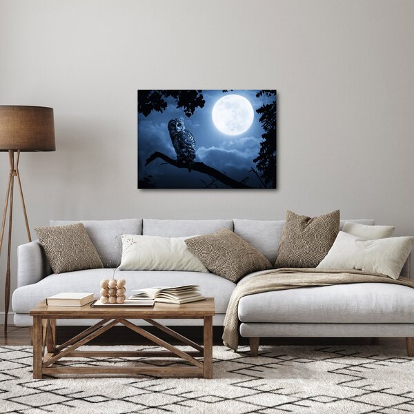 Obraz - Nocna Sowa (70x50 cm)