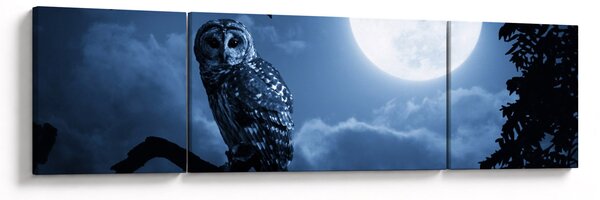 Obraz - Nocna Sowa (170x50 cm)
