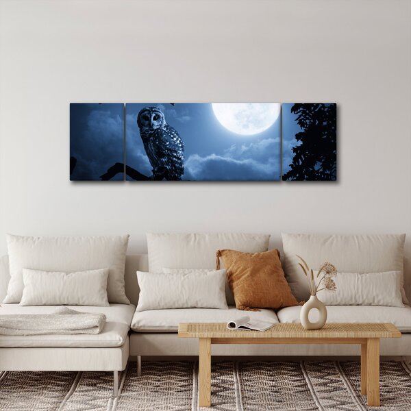 Obraz - Nocna Sowa (170x50 cm)