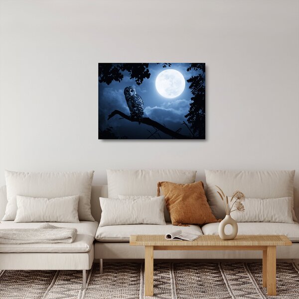Obraz na szkle - Nocna Sowa (70x50 cm)