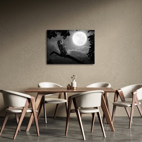Obraz - Nocna sowa, czarno-biały (70x50 cm)