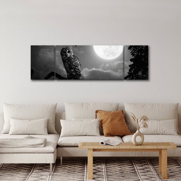 Obraz - Nocna sowa, czarno-biały (170x50 cm)