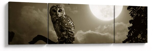 Obraz - Nocna sowa, złoty (170x50 cm)