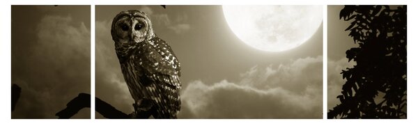 Obraz - Nocna sowa, złoty (170x50 cm)