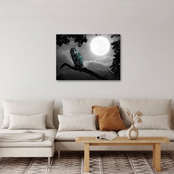 Obraz - Nocna sowa, niebieski (70x50 cm)