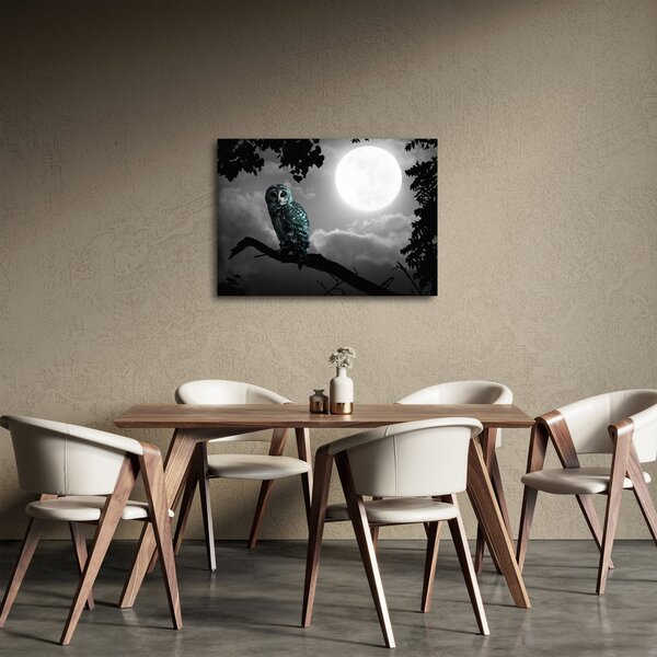 Obraz - Nocna sowa, niebieski (70x50 cm)