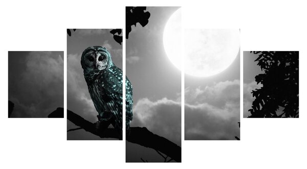 Obraz - Nocna sowa, niebieski (125x70 cm)