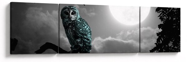 Obraz - Nocna sowa, niebieski (170x50 cm)