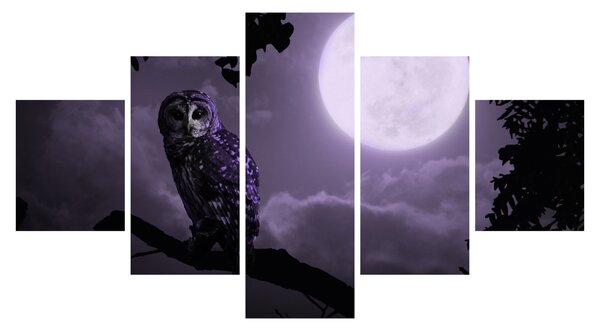 Obraz - Nocna sowa, fioletowy (125x70 cm)