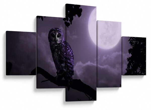 Obraz - Nocna sowa, fioletowy (125x70 cm)