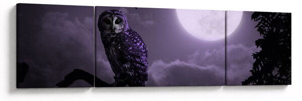 Obraz - Nocna sowa, fioletowy (170x50 cm)