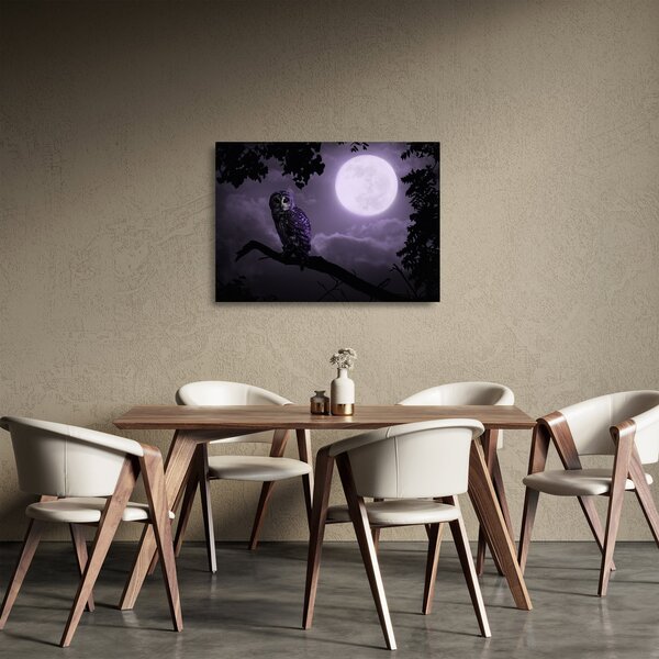 Obraz na szkle - Nocna sowa, fioletowy (70x50 cm)