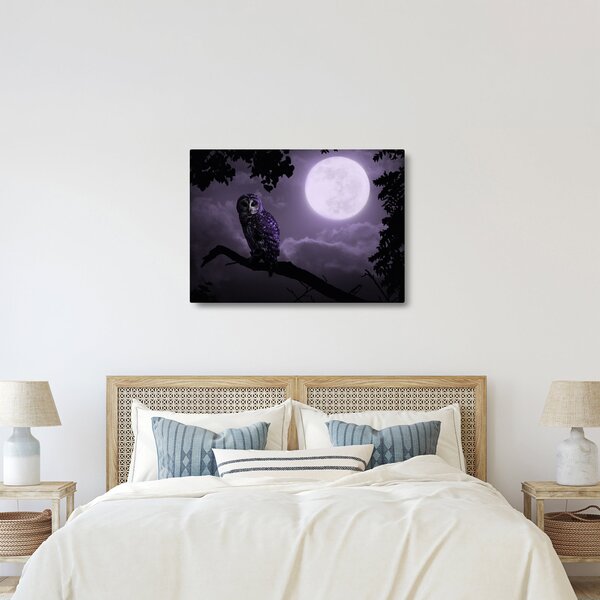 Obraz - Nocna sowa, fioletowy (70x50 cm)