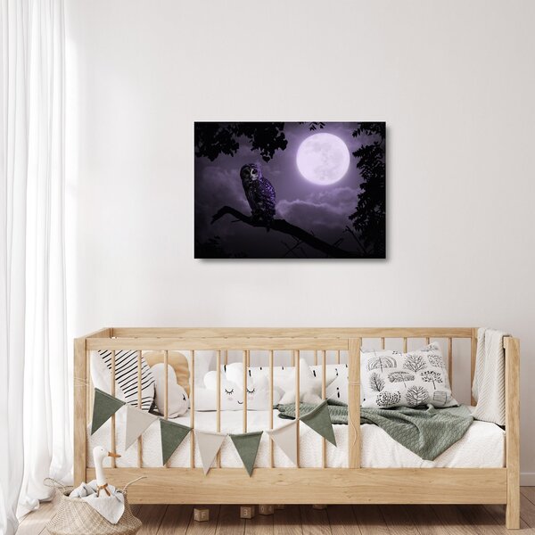 Obraz na szkle - Nocna sowa, fioletowy (70x50 cm)