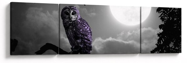 Obraz - Nocna sowa, fioletowa sowa (170x50 cm)
