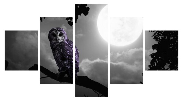 Obraz - Nocna sowa, fioletowa sowa (125x70 cm)