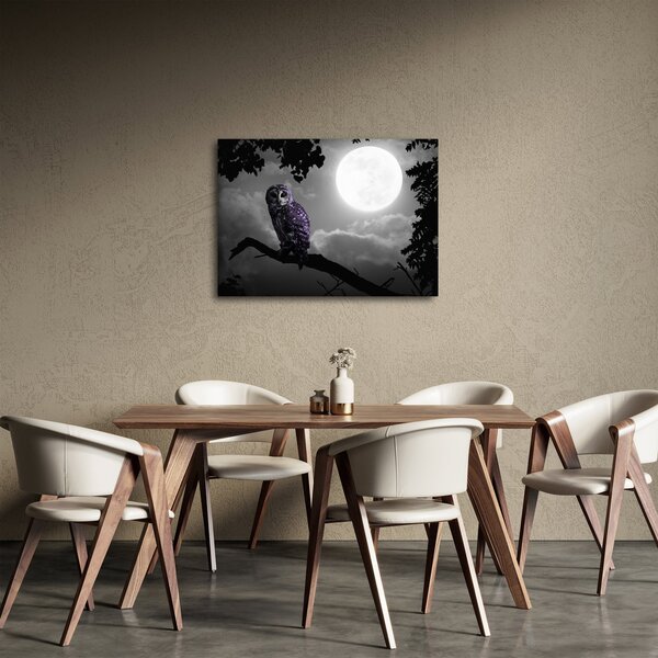 Obraz - Nocna sowa, fioletowa sowa (70x50 cm)