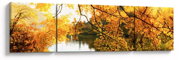 Obraz - Jesienne drzewo (170x50 cm)