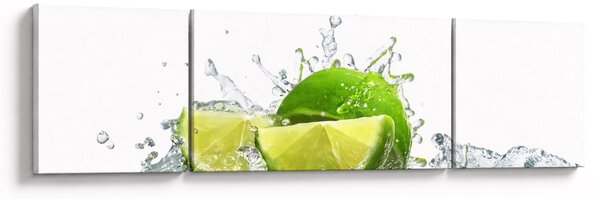 Obraz - Limes (170x50 cm)