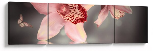 Obraz - Kwiaty i motyl (170x50 cm)