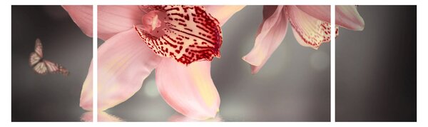 Obraz - Kwiaty i motyl (170x50 cm)