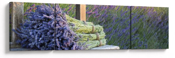 Obraz - Pęczki lawendy (170x50 cm)