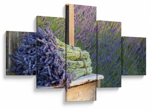 Obraz - Pęczki lawendy (125x70 cm)