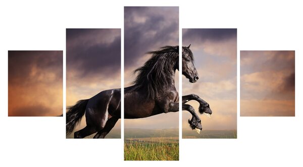 Obraz - Konie (125x70 cm)