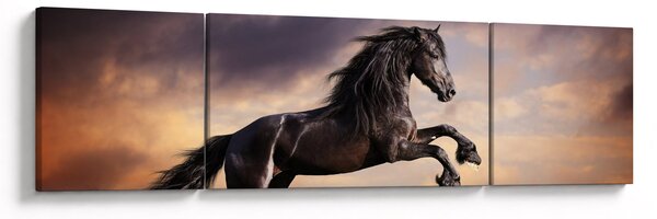 Obraz - Konie (170x50 cm)