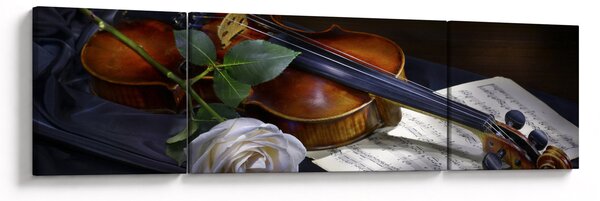 Obraz - Róże i skrzypce (170x50 cm)