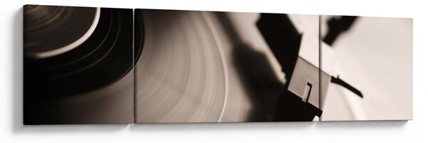 Obraz - Płyta gramofonowa (170x50 cm)