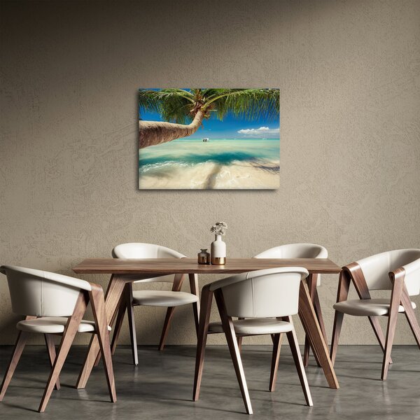 Obraz - Czyste morze z palmą (70x50 cm)