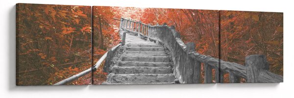 Obraz - Schody w naturze, pomarańczowy (170x50 cm)
