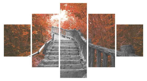 Obraz - Schody w naturze, pomarańczowy (125x70 cm)
