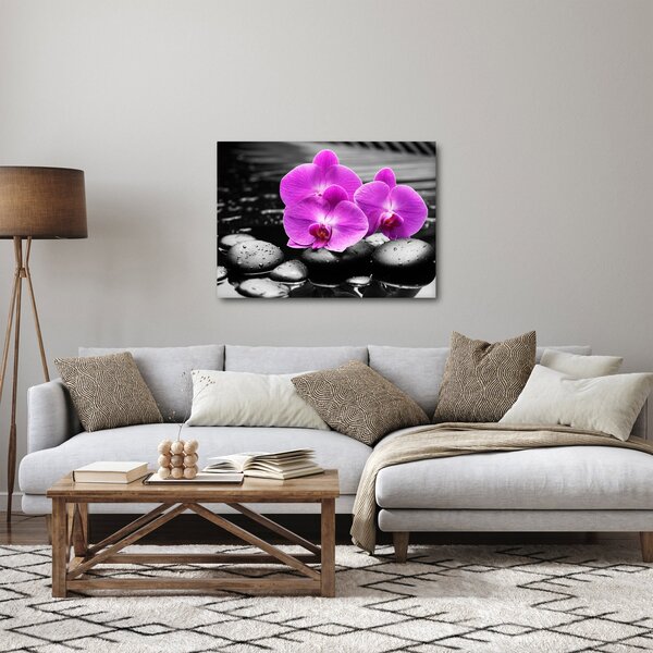Obraz - Fioletowe orchidee (70x50 cm)